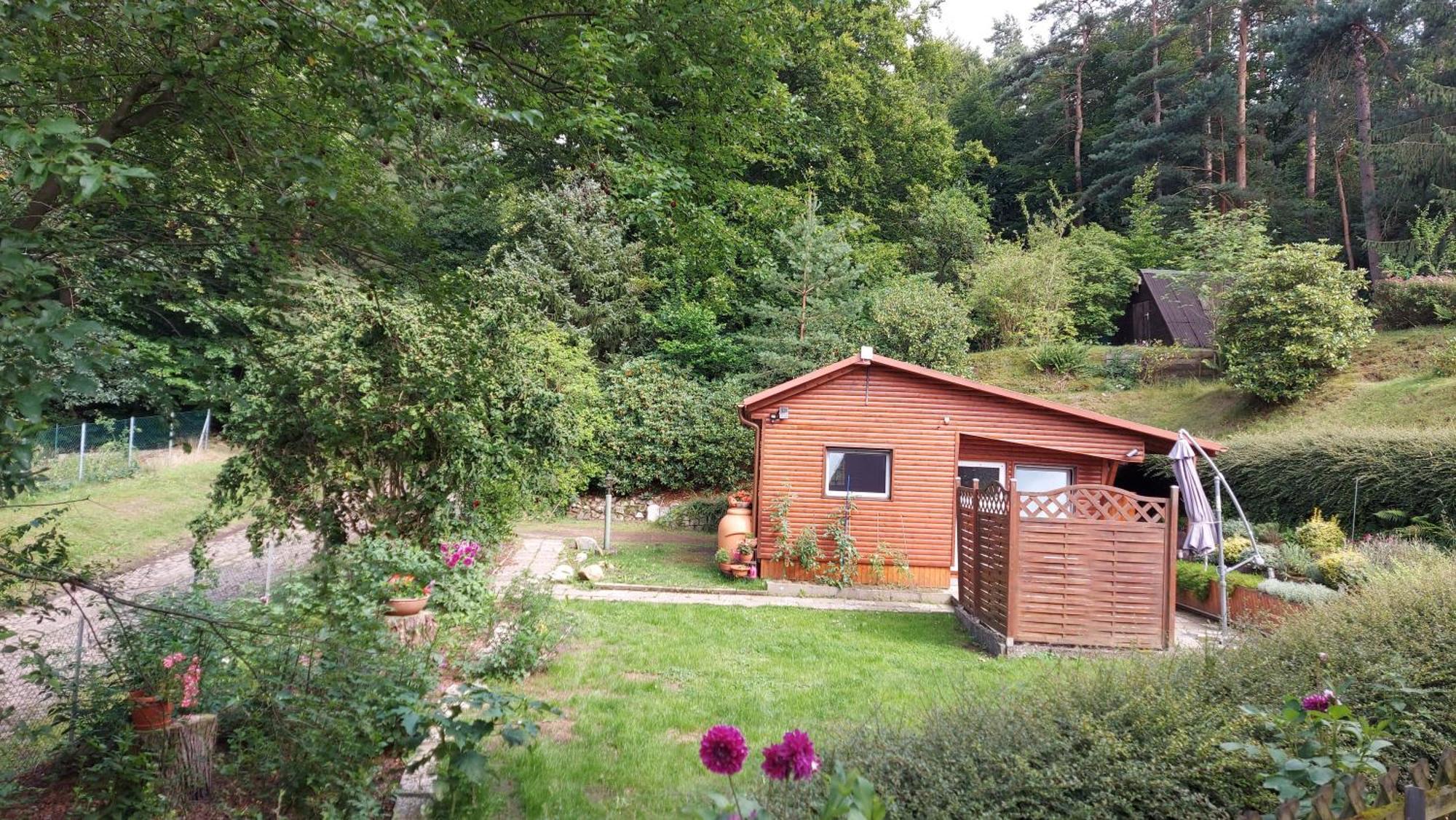 Ferienhaus In Geesthacht-Tesperhude Direkt Am Waldrand Екстер'єр фото