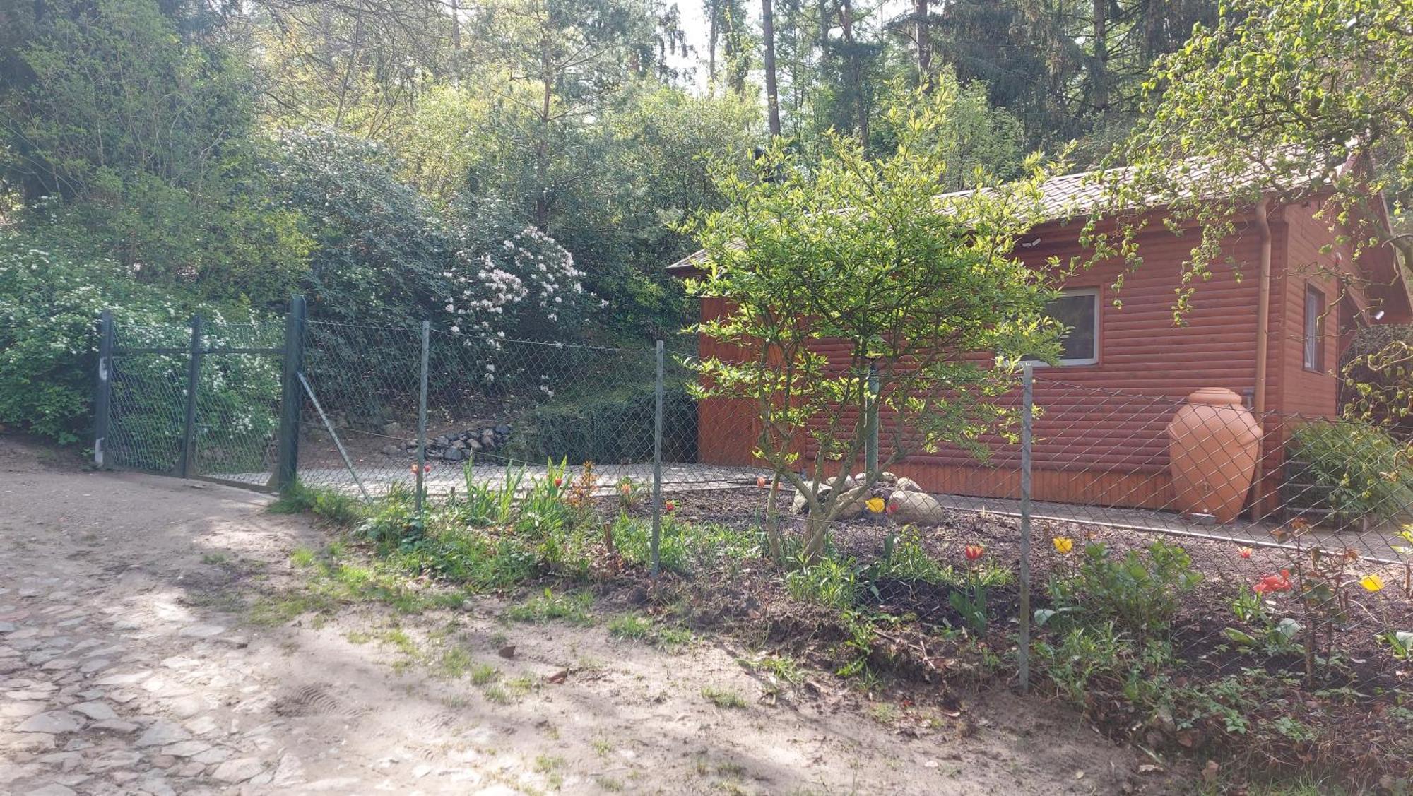 Ferienhaus In Geesthacht-Tesperhude Direkt Am Waldrand Екстер'єр фото