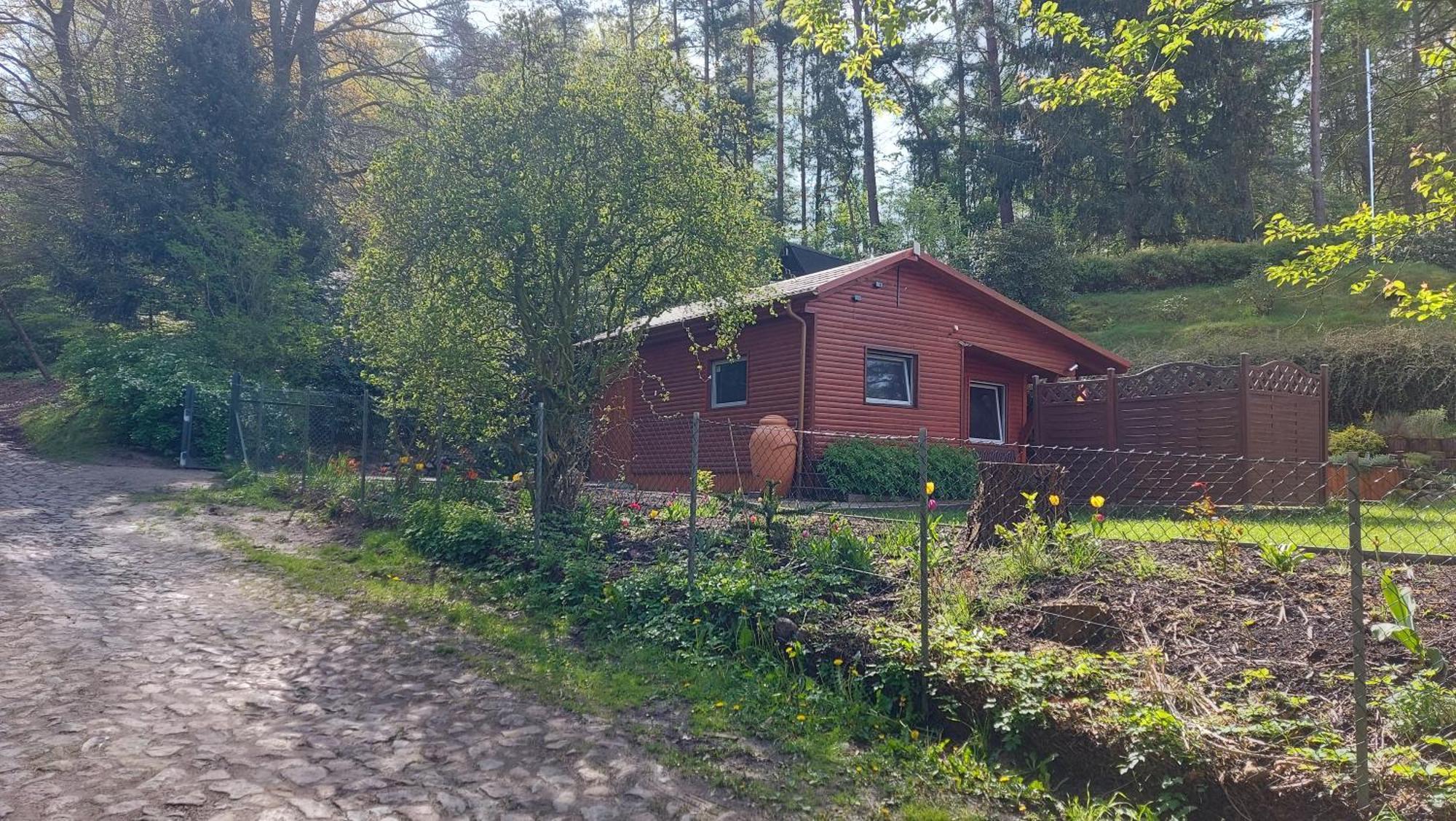 Ferienhaus In Geesthacht-Tesperhude Direkt Am Waldrand Екстер'єр фото